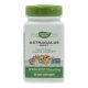 NATURES WAY ASTRAGALUS KAPSZULA 100DB