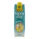 RAUCH HAPPY DAY IMMUN POWER 55% 1000ML