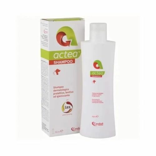 Actea sampon 150 ml
