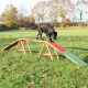 Trixie Játék Activity Kutya Agility Pálya, 456x64x30cm