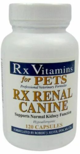 Rx Renal Canine kapszula 120x