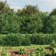 Zöld dróthálós kerítés cövekekkel 1,6 x 10 m