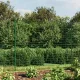 Zöld dróthálós kerítés cövekekkel 1,6 x 10 m