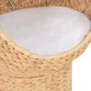Tengerifű macskakosár