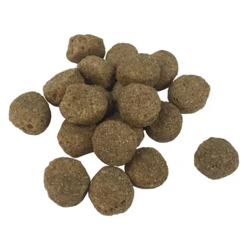 2 db „Adult Essence Beef” prémium száraz kutyatáp 30 kg