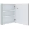 Tükrös fürdőszobaszekrény LED világítással 50 x 13,5 x 60 cm