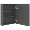 Szürke LED-es tükrös fürdőszobaszekrény 50 x 14 x 60 cm
