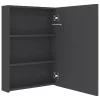 Fényes szürke LED-es tükrös fürdőszobaszekrény 50 x 13 x 70 cm