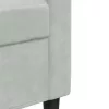 2 részes világosszürke bársony ülőgarnitúra párnákkal