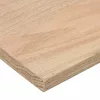 4 db tömör tölgyfa lépcsőfokok kezeletlen 110x25x2 cm