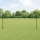 Kerítés oszlopokkal Zöld 1.2 x 10 m Acél