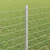 Kerítés oszlopokkal Ezüst 0.8 x 25 m Acél