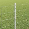 Kerítés oszlopokkal Ezüst 0.8 x 25 m Acél