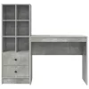 Tárolóval rendelkező íróasztal fiókkal 2 pcs Beton Szürke