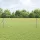 Kerítés oszlopokkal Ezüst 0.4 x 50 m PVC-bevonatos acél