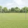 Kerítés oszlopokkal Ezüst 1.4 x 50 m PVC-bevonatos acél