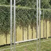 Kutyaketrec Ezüst 600 x 200 x 200 cm Horganyzott acél