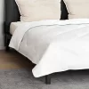 Paplan párnával 3 pcs Fehér Mikroszálas