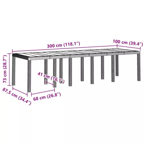 Kerti Asztal Barna 300 x 100 x 73 cm polirattan