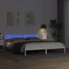 Ágykeret LED -es lámpákkal Fehér 200 x 200 cm faszínű