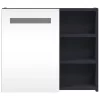 Szürke tükrös fürdőszobaszekrény LED-del 60 x 13 x 52 cm