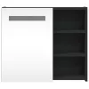 Fekete tükrös fürdőszobaszekrény LED-del 60 x 13 x 52 cm