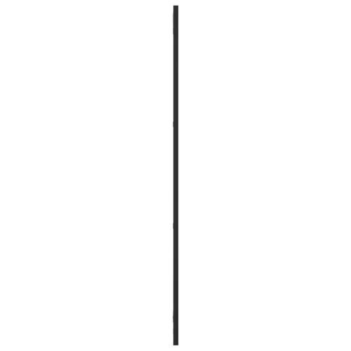Fekete téglalap alakú vas fali tükör 30 x 100 cm
