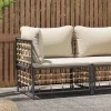 Polyrattan kerti középső kanapé bézs párnákkal