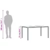 Bézs polyrattan üveglapos kerti asztal 150 x 90 x 75 cm