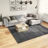 OVIEDO antracitszürke rövid szálú szőnyeg 240 x 240 cm