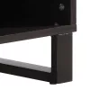 Tömör nyers mangófa TV-szekrény 100 x 34 x 46 cm