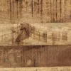 Tömör nyers mangófa TV-szekrény 160 x 42 x 40 cm