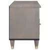TV szekrény Szürke és Arany 100 x 33.5 x 46 cm Tömör mangófa