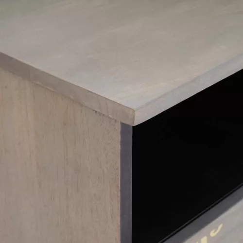 TV szekrény Szürke és Arany 100 x 33.5 x 46 cm Tömör mangófa