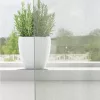 2 db világosszürke fátyolfüggönyök rojtokkal 140x140 cm