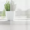 2 db fehér fátyolfüggönyök rojtokkal