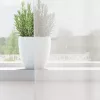 2 db fehér fátyolfüggönyök rojtokkal