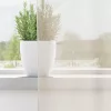 2 db krém színű voile függönyök rúd zsebekkel