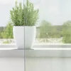 2 db világosszürke voile függönyök rúd zsebekkel