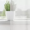 2 db fehér voile függönyök rúd zsebekkel