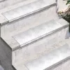 Rácsos lemezek 10 pcs Ezüst 60 x 18 cm Alumínium