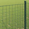 Európai Kerítés Zöld 0.8 x 25 m PVC-bevonatú vas