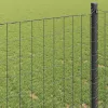 Európai Kerítés Szürke 0.8 x 25 m PVC-bevonatú vas