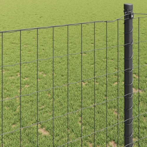 Európai Kerítés Szürke 0.6 x 50 m PVC-bevonatú vas