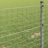 Európai Kerítés Ezüst 0.8 x 25 m Meleg horganyzott vas