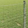 Európai Kerítés Ezüst 0.6 x 50 m Meleg horganyzott vas