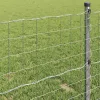 Európai Kerítés Ezüst 0.4 x 50 m Meleg horganyzott vas