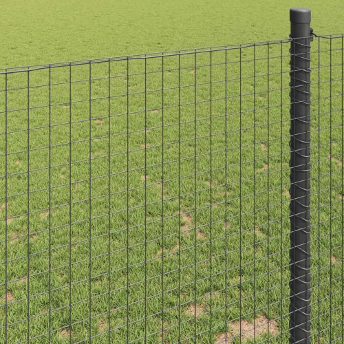 Hegesztett Drótháló Kerítés Szürke 0.8 x 50 m Acél
