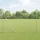 Hexagon kerítés Ezüst 1.5 x 50 m Horganyzott acél