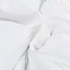 Takarók és párnák Fehér 200 x 200 cm Pehely